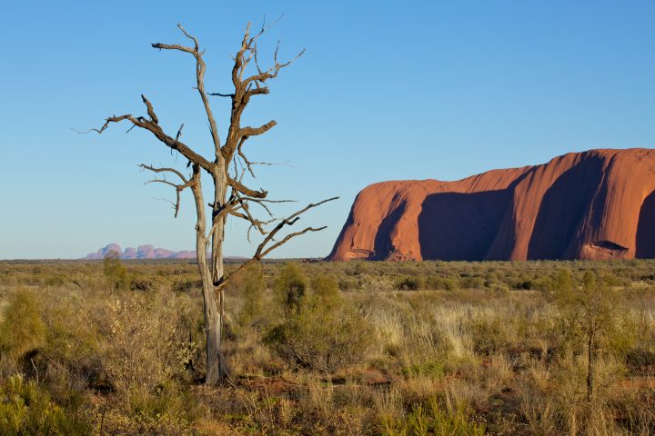 Uluru / Ayers Rock Australia