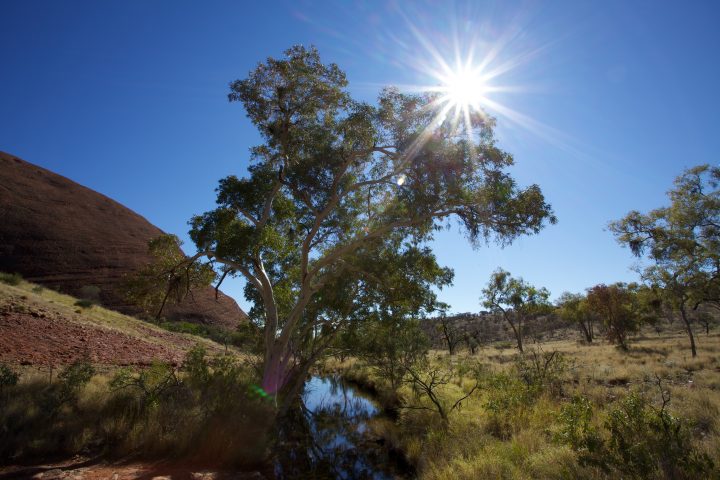 Uluru / Ayers Rock Australia