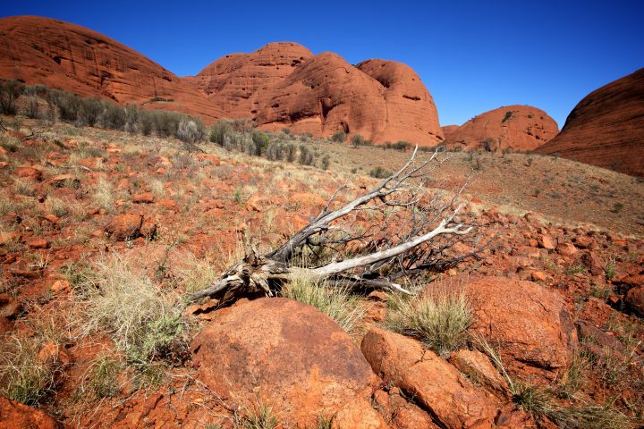 Uluru / Ayers Rock Australia