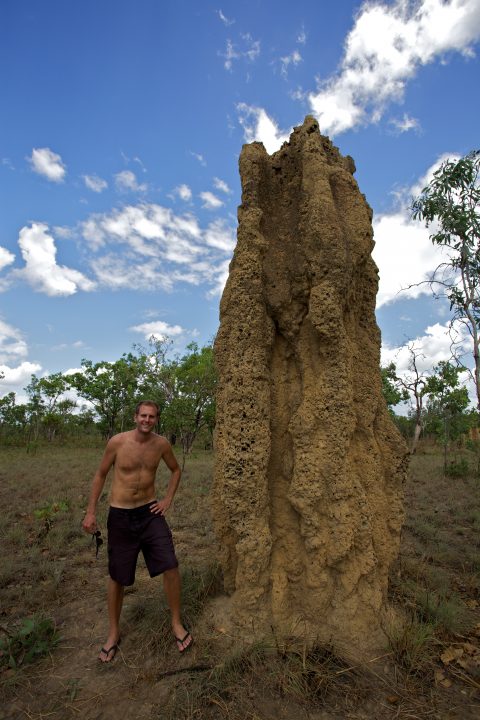 me and a termite mound