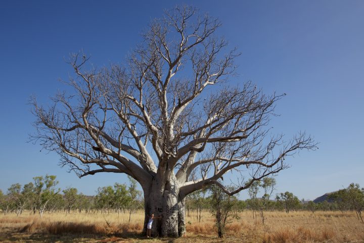 Broome Australia