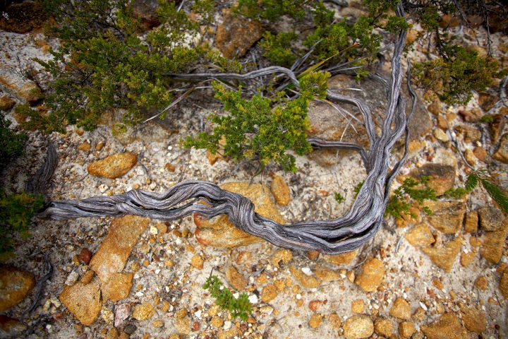 Cape Le Grand National Park, Western Australia, Australia