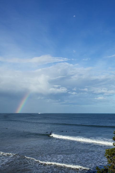 Rainbow Surfers