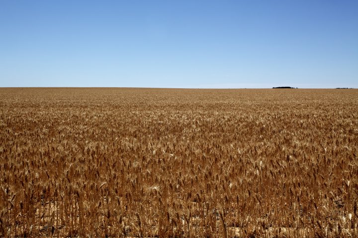 Minimal Landscape