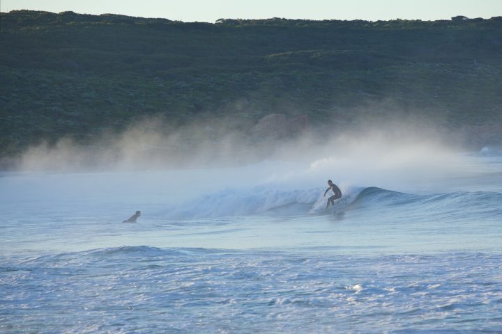 surfing riding a small wave in the morning mist