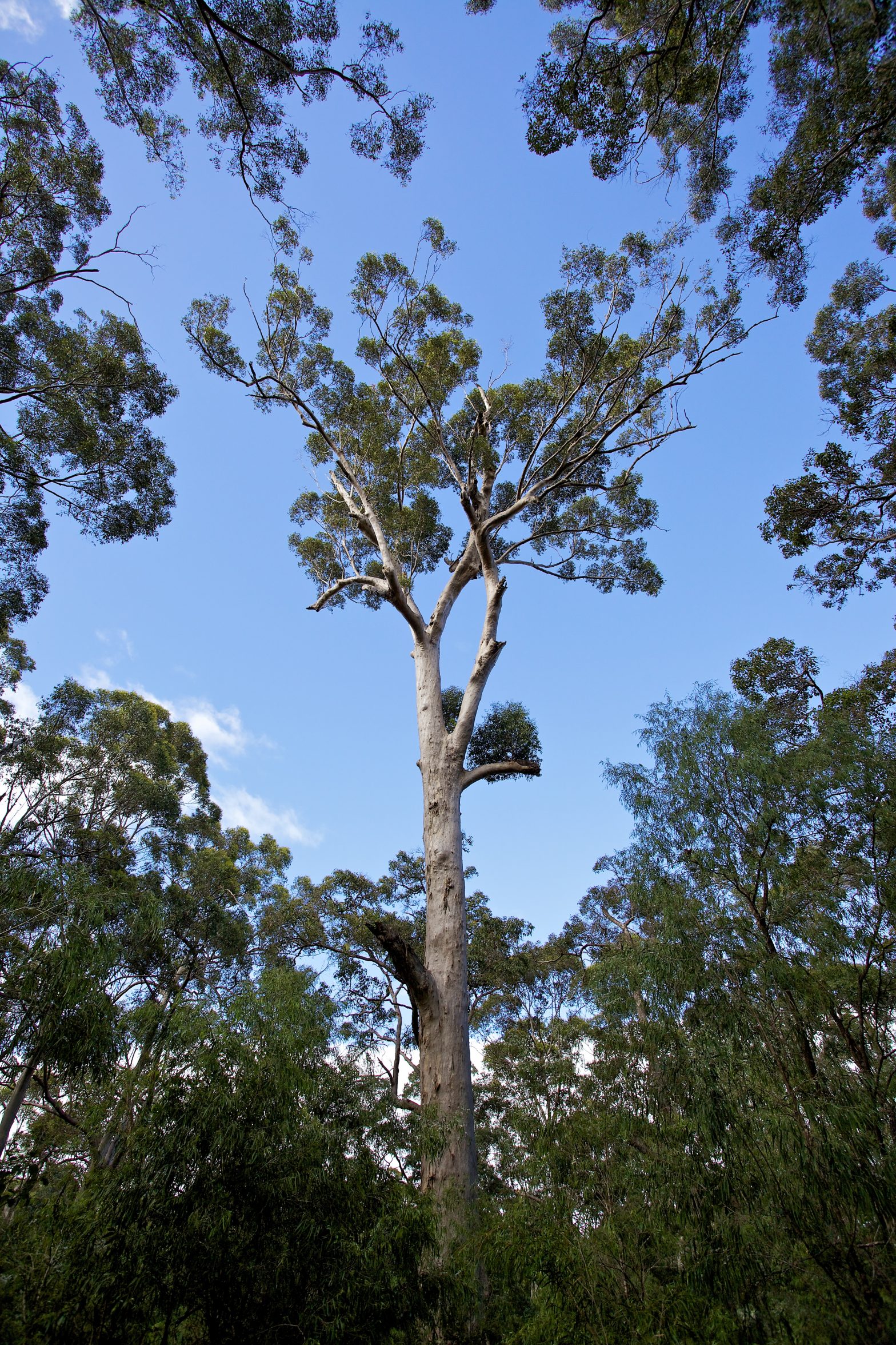 Margaret River, Western Australia, Australia - Duncan.co