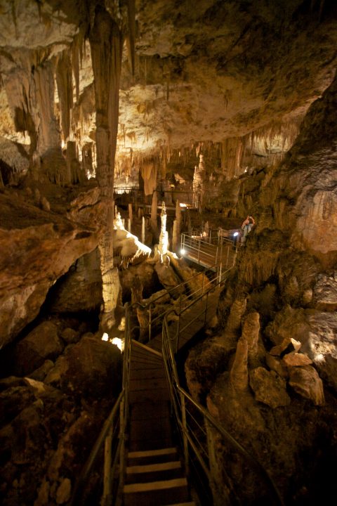 Mammoth Cave Western Australia, Australia