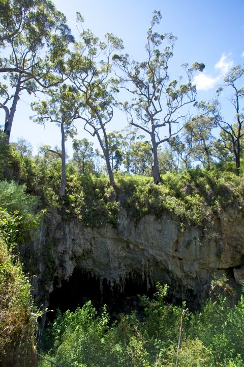 Mammoth Cave Western Australia, Australia