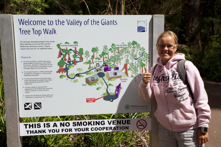 Treetop Walk Valley of the Giants, Denmark, Western Australia