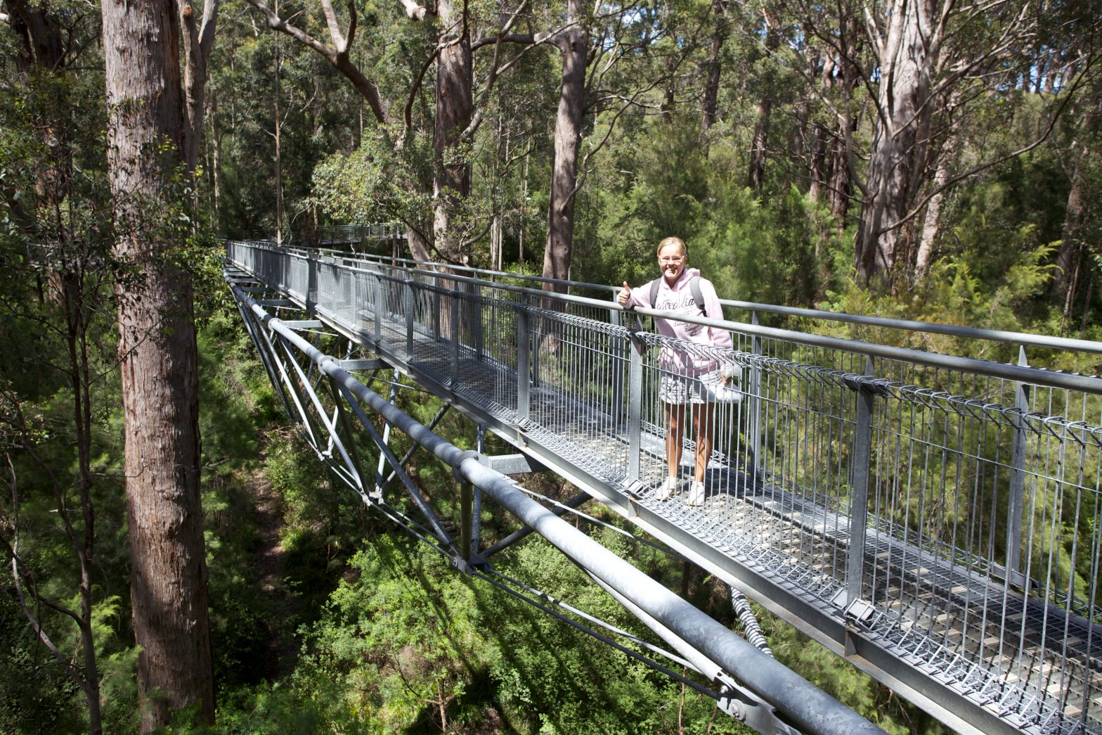 Treetop Walk Valley of the Giants, Denmark, Western Australia - Duncan.co