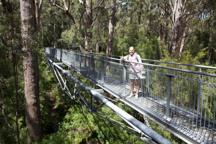 Treetop Walk Valley of the Giants, Denmark, Western Australia