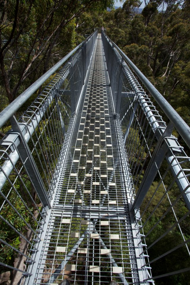 Treetop Walk Valley of the Giants, Denmark, Western Australia