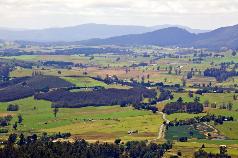 Landscape, Tasmania Australia