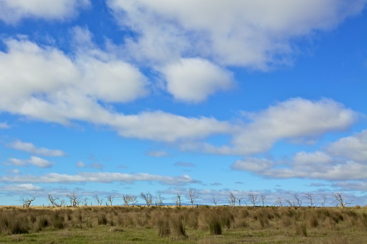 Landscape, Tasmania Australia