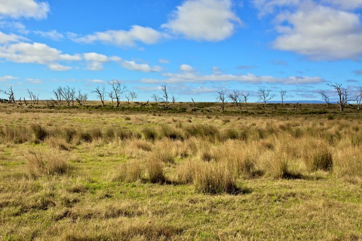 Landscape, Tasmania Australia