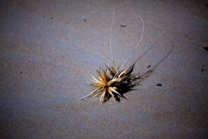 Tasmania Australia
