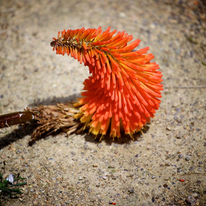 Tasmania Australia