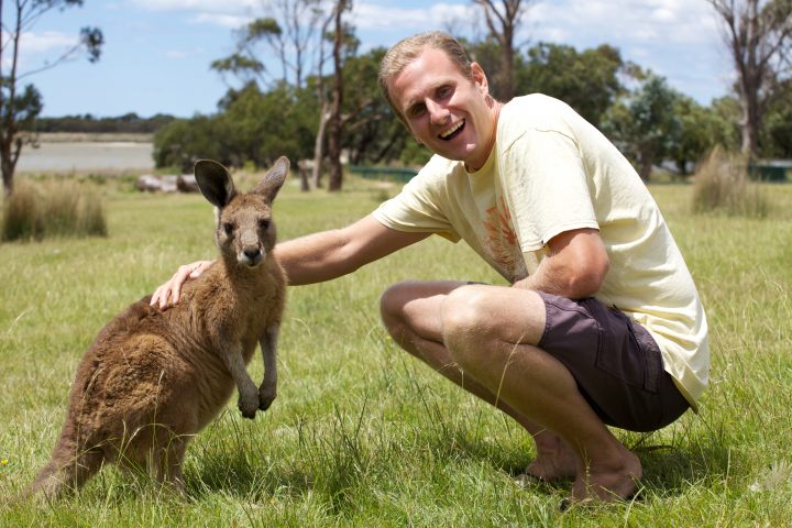 Kangaroo, Tasmania, Australia