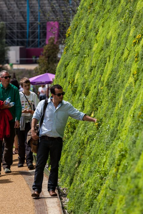 Green Living Wall London 2012 Olympics 0137