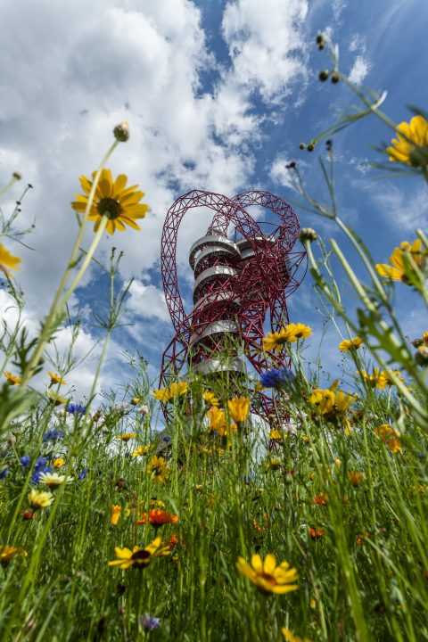 Orbit With Flowers London 2012 Olympics 0173