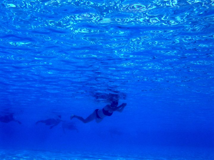 DSC00972
