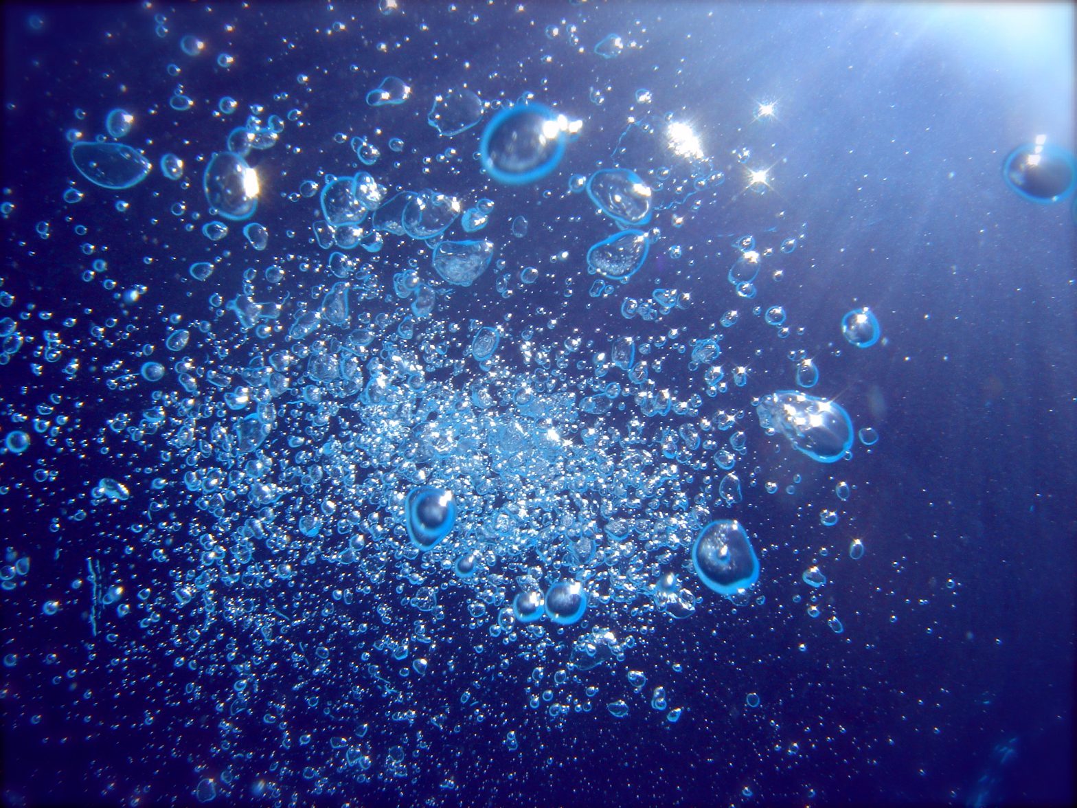 underwater Archives Duncan.co