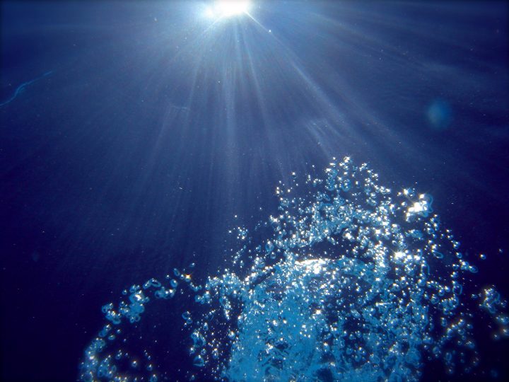 Bubbles