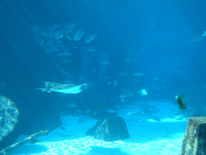 DSC05723.JPG