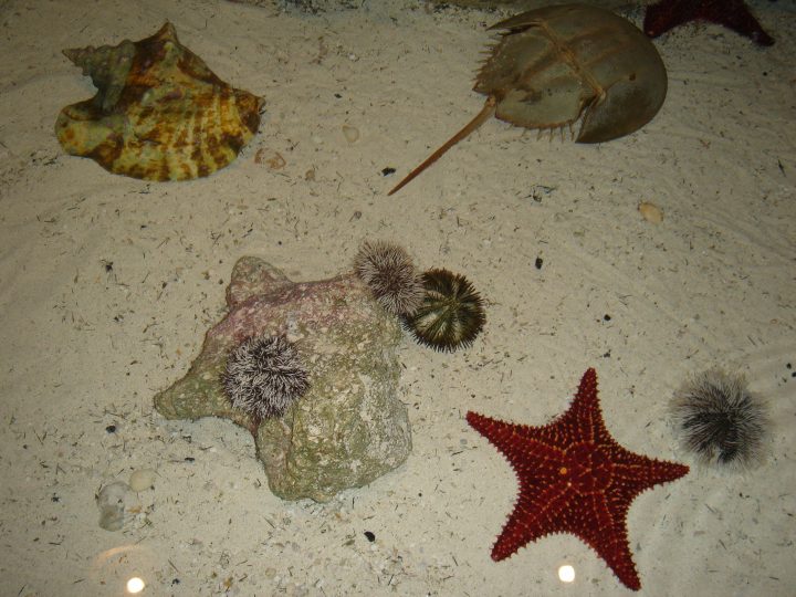 DSC05728.JPG