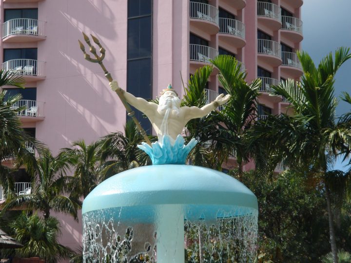DSC05826.JPG