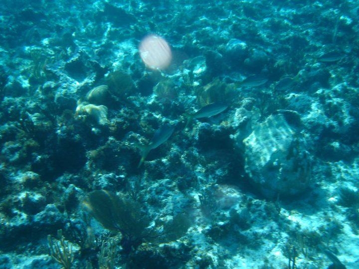 DSC05878.JPG