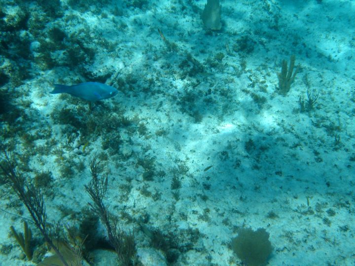 DSC05911.JPG