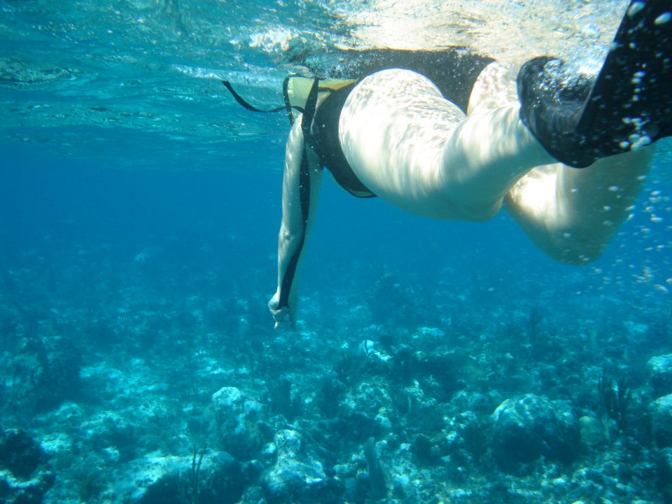 snorkelling