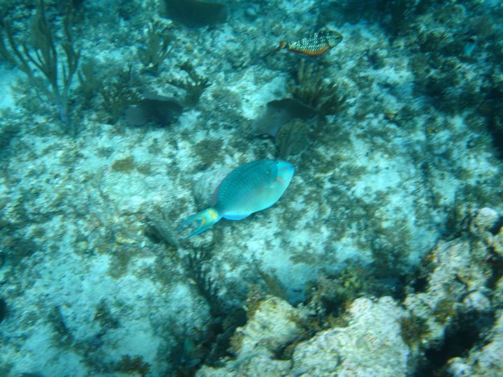 DSC05948.JPG