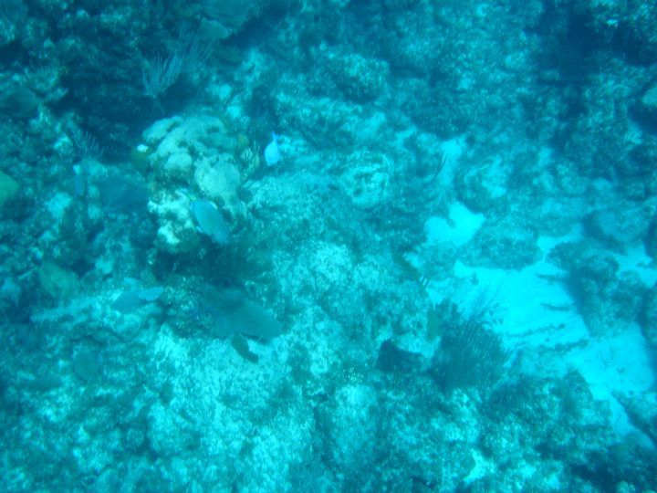 DSC05960.JPG