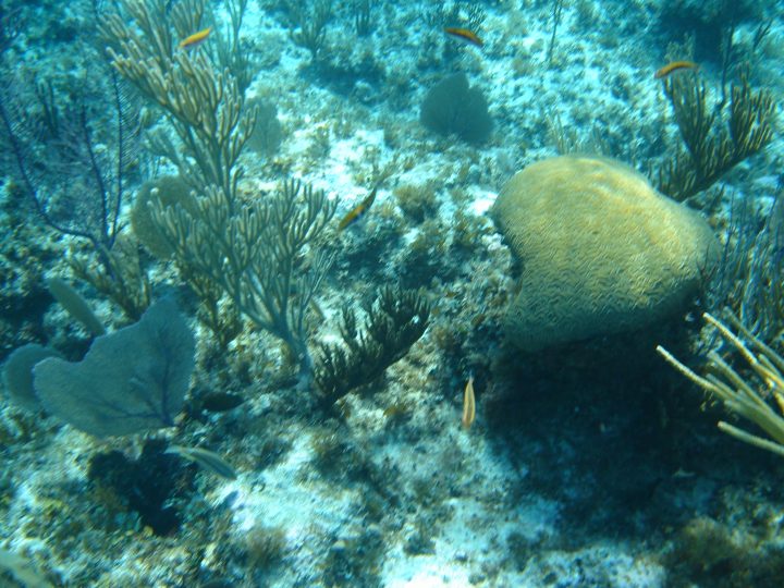 DSC05980.JPG