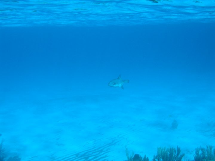 DSC05985.JPG