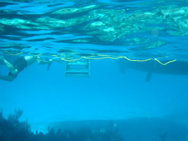 DSC06016.JPG