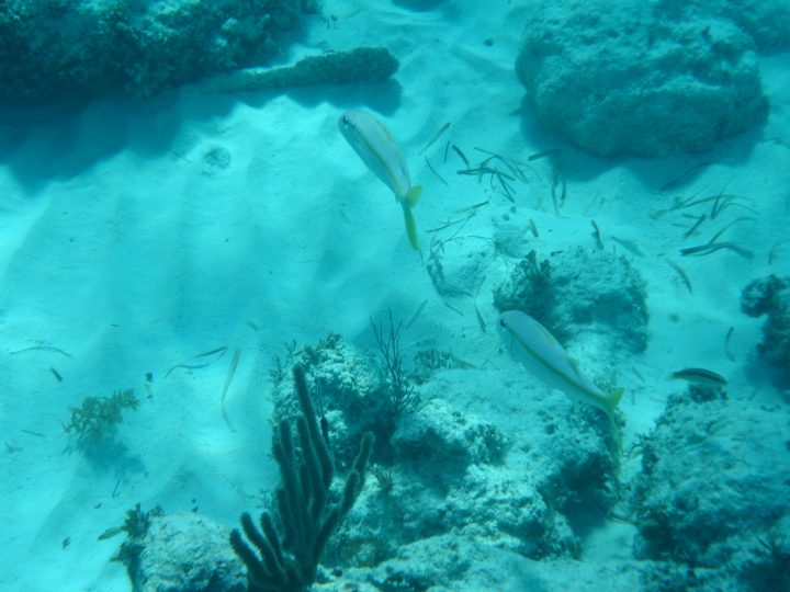 DSC06048.JPG
