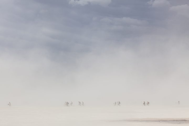 Dusty Burning Man 2012 169