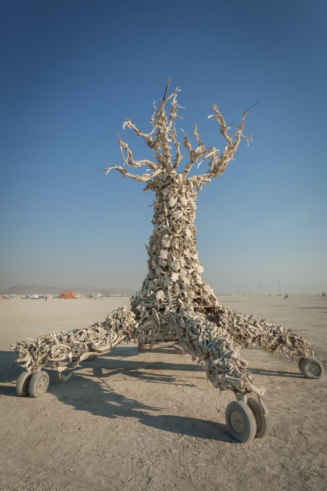 BoneTree Burning Man 2012 074