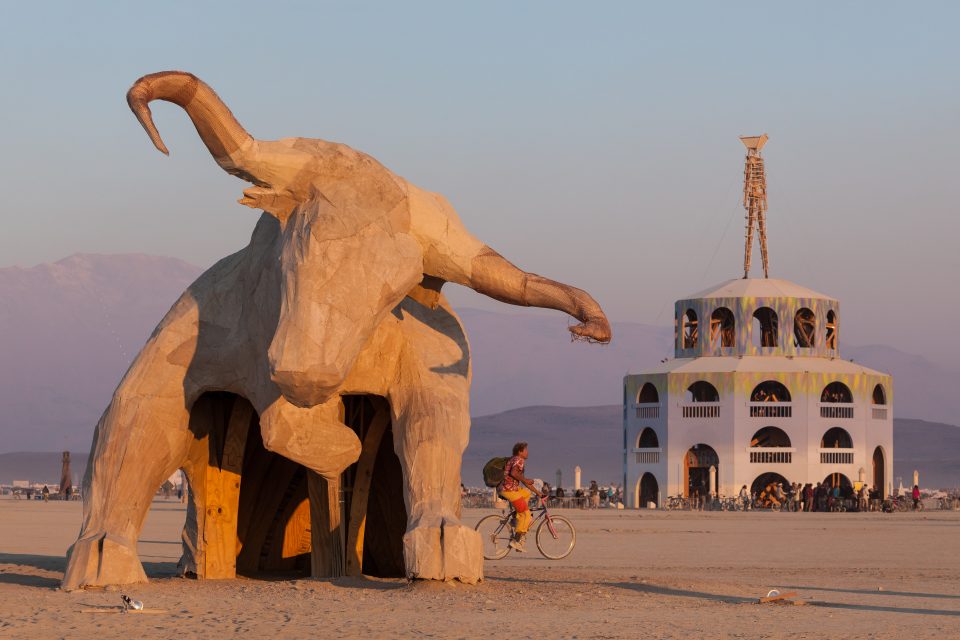 Bull Burning Man 2012 059