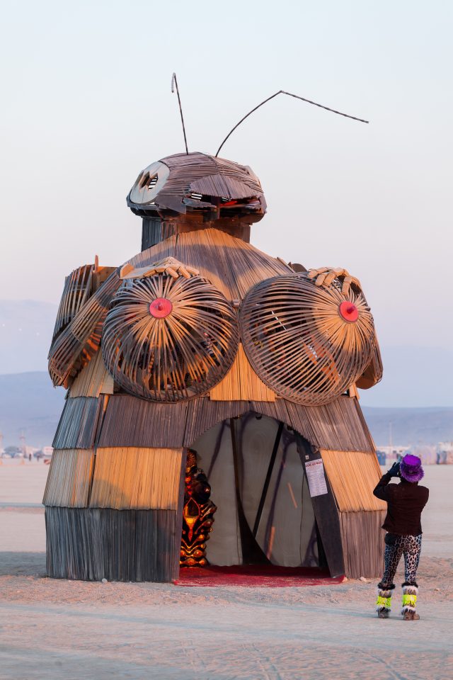 Playa Art Burning Man 2012 054