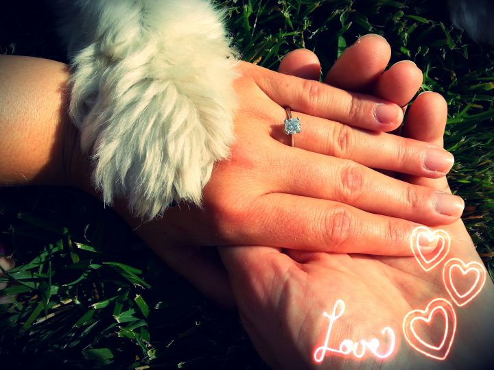 we got engaged!