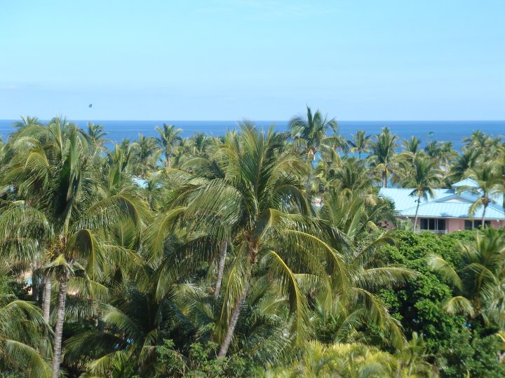 DSC06115.JPG