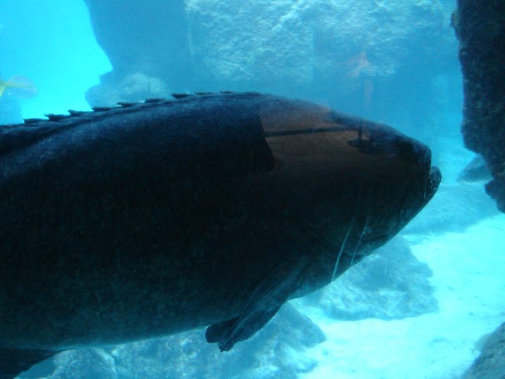 DSC06116.JPG