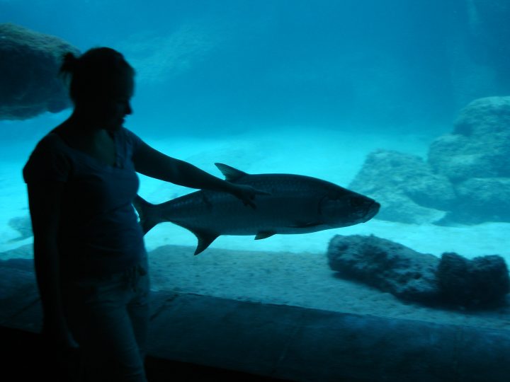 DSC06126.JPG