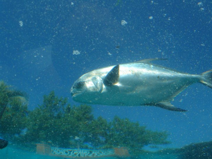 DSC06138.JPG
