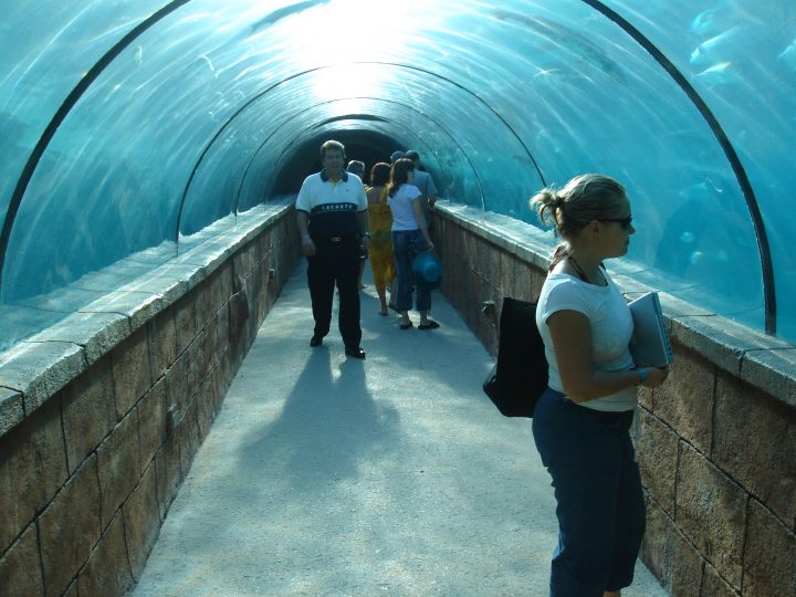 DSC06308.JPG