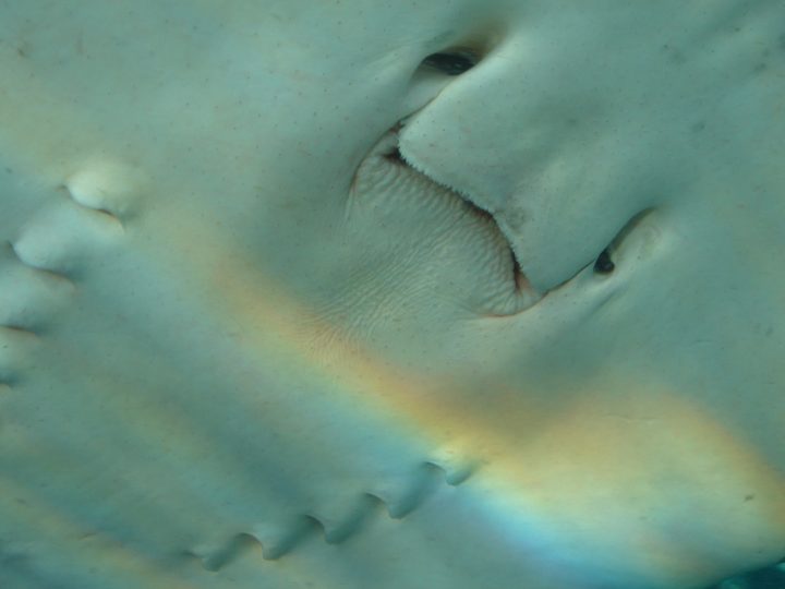 DSC06311.JPG